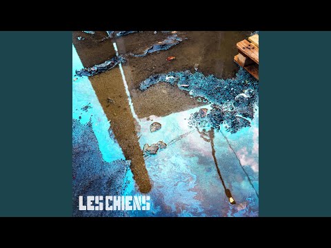 Lautomne Au Coeur - Les Chiens