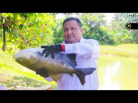 𝗣𝗘𝗕𝗗𝗜𝗖𝗣 𝗶𝗺𝗽𝘂𝗹𝘀𝗮 𝗹𝗮 𝗲𝗰𝗼𝗻𝗼𝗺𝗶́𝗮 𝗱𝗲𝗹 𝗣𝘂𝘁𝘂𝗺𝗮𝘆𝗼 𝗰𝗼𝗻 𝗽𝗿𝗼𝘆𝗲𝗰𝘁𝗼𝘀 𝗽𝗿𝗼𝗱𝘂𝗰𝘁𝗶𝘃𝗼𝘀 𝘆 𝗽𝗹𝗮𝗻𝘁𝗮𝘀 𝗱𝗲 𝘁𝗿𝗮𝗻𝘀𝗳𝗼𝗿𝗺𝗮𝗰𝗶𝗼́𝗻