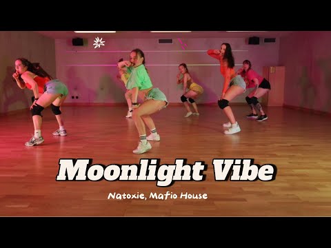 Moonlight Vibe - Natoxie ft. Mafio House