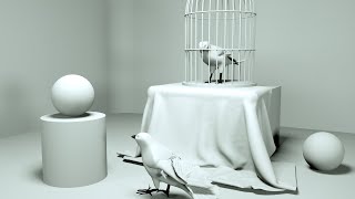 #shorts 3D animation Pigeon Bird. Just For Fun