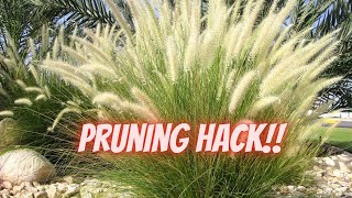 This Simple Trick Makes Ornamental Grass Pruning Effortless