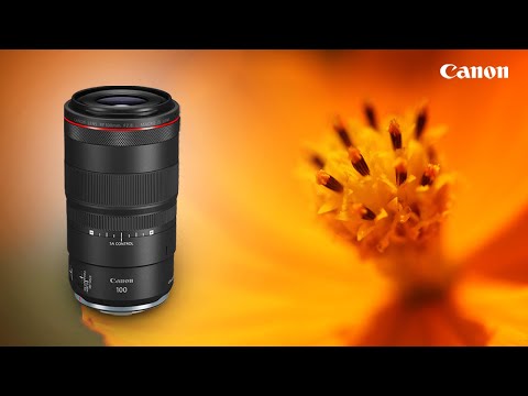 The Canon RF 100mm F2.8 L Macro IS USM | Hands-on Review
