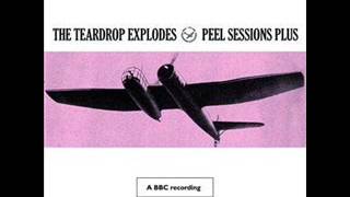 The Teardrop Explodes - BBC Session - You Disappear From View - 27.6.1982