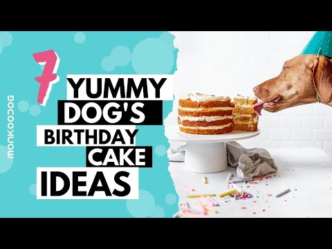 Top 7 QUICK & EASY home made dog cake ideas  to try on your dog's birthday || Monkoodog