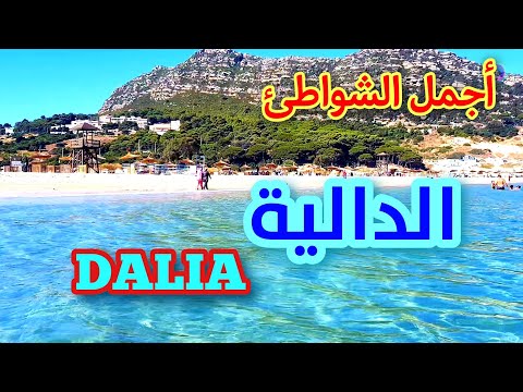 شواطئ شمال المغرب : الدالية Beaches of northern Morocco : DALIA