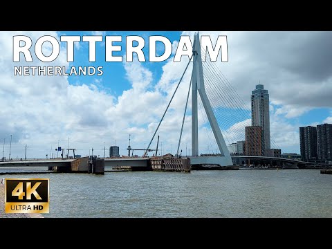 Rotterdam — City's Bridges Walking Tour / Netherlands 🇳🇱 - 4K 60fps (UHD)