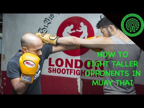 Muay Thai How to Fight Taller Opponents - Dismantling the Jab