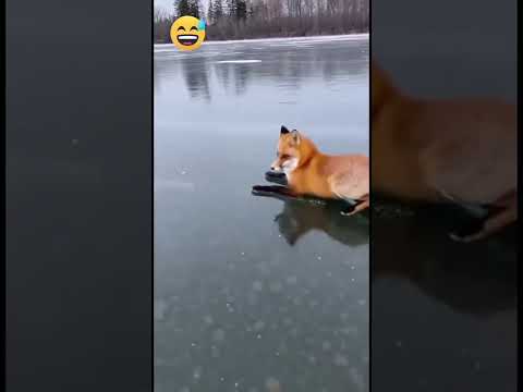 Нехай щастить Вам та вашій родині