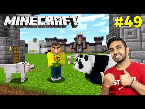FINALLY PANDA AND DOGS IN MY CASTLE | MINECRAFT GAMEPLAY #49
