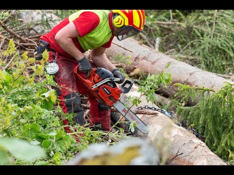 Einzigartige Ausholzaktion in Gargellen | Montafon