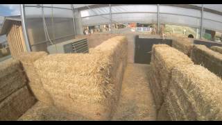preview picture of video 'children's hay maze at Bauman's Pumpkin Patch, 4k'