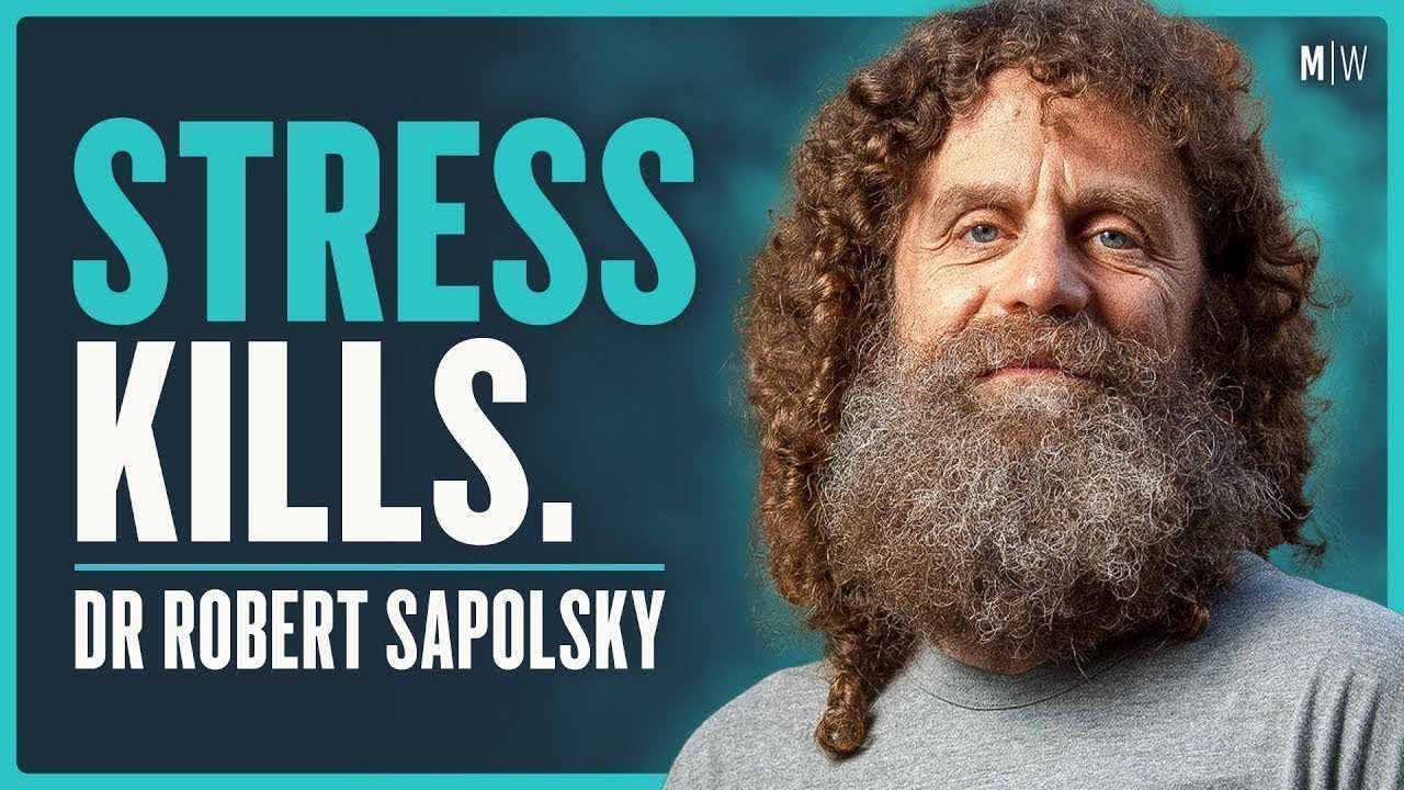 How To Beat Stress & Improve Your Quality Of Life - Dr Robert Sapolsky