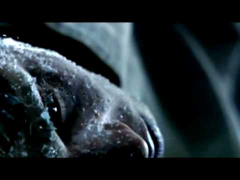 Polarkreis 18  - The Colour of Snow (Offizielles Video)