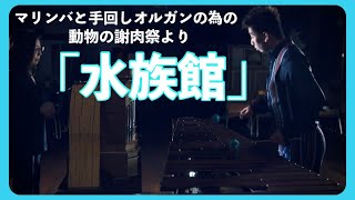 Download lagu 【演奏＆解説】動物の謝肉祭「水族館」#マリンバ #サンサーンス #没後100年 mp3