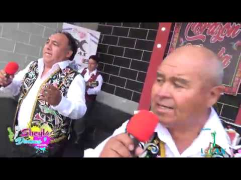 Estudiantina  Andina  - Que suerte la mía  FULL HD