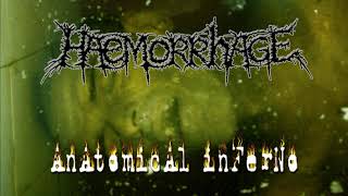 Haemorrhage - Worm-infested cavities