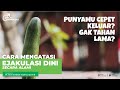 Punyamu Gak Tahan Lama 4 Tips Cara Mengatasi Ejakulasi Dini Secara Alami