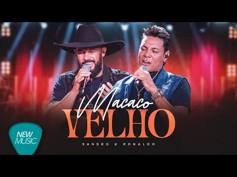 Sandro e Ronaldo - Macaco Velho (Modão e Paixão) [Clipe Oficial]