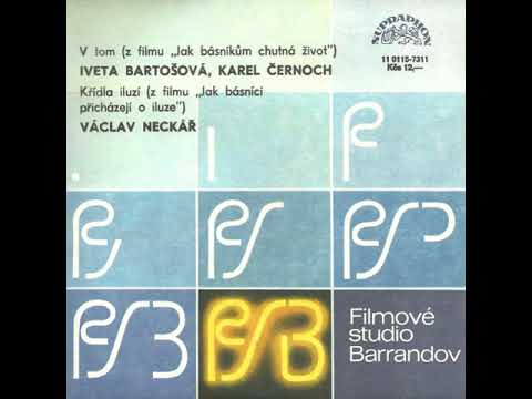 Karel Černoch & Iveta Bartošová - V tom (19.5.1988)