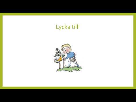 Orientering för år 4-6 - teori