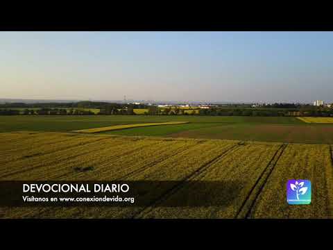 Devocional diario - 2020-05-04 - Deléitate en Dios