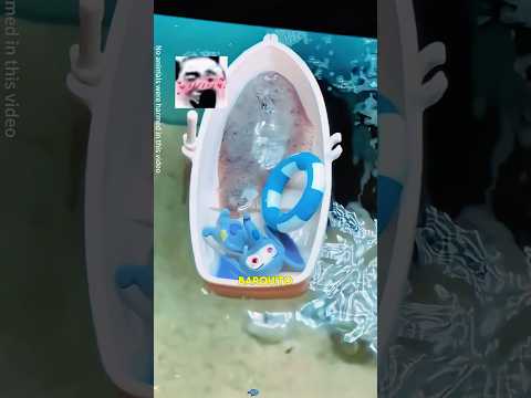 La llevó a casa... y esto fue lo que ocurrió#shorts #viral #pez #increible #peces