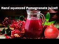 Hand Squeezed Pomegranate!! #shorts
