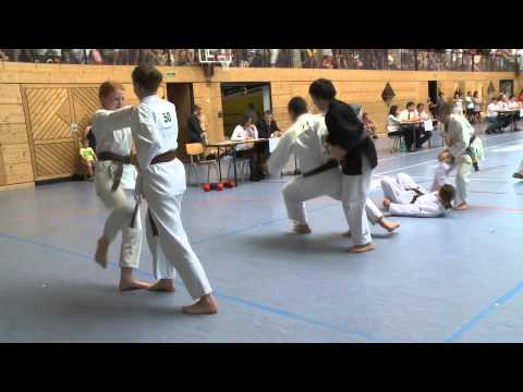Shito Ryu Shukokai Karate Deutschland