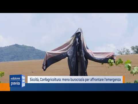 Siccità, Confagricoltura: progetti e meno burocrazia per affrontare l'emergenza