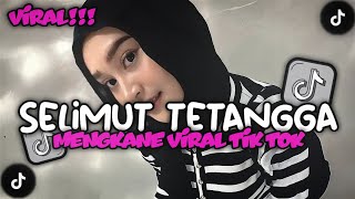 Download lagu DJ MANA MUNGKIN SELIMUT TETANGGA HANGAT DITUBUH KU STYLE KONDANG CANDU MENGKANE VIRAL TIK TOK mp3