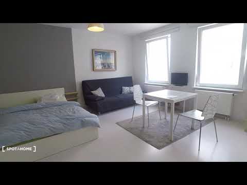 Modern studio apartment for rent in Mitte, near U-Bahn - Spotahome (ref 150631)