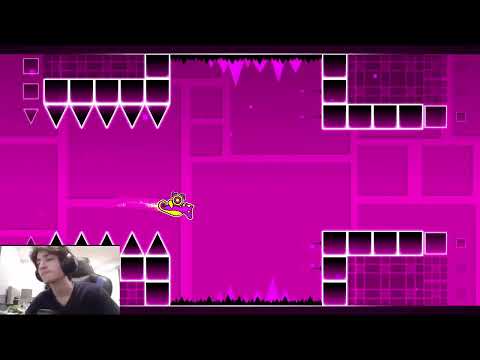 Doggie dies in stereo madness and destroys his setup