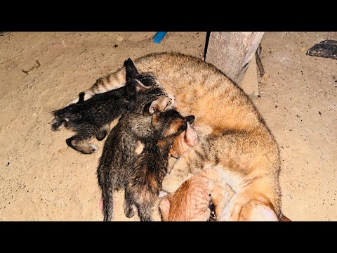 Rashi doesn't breastfeed her baby often.