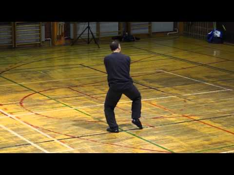 Taijiquan i qigong centar Zagreb - Prikaz chi kunga i tai chi chuana
