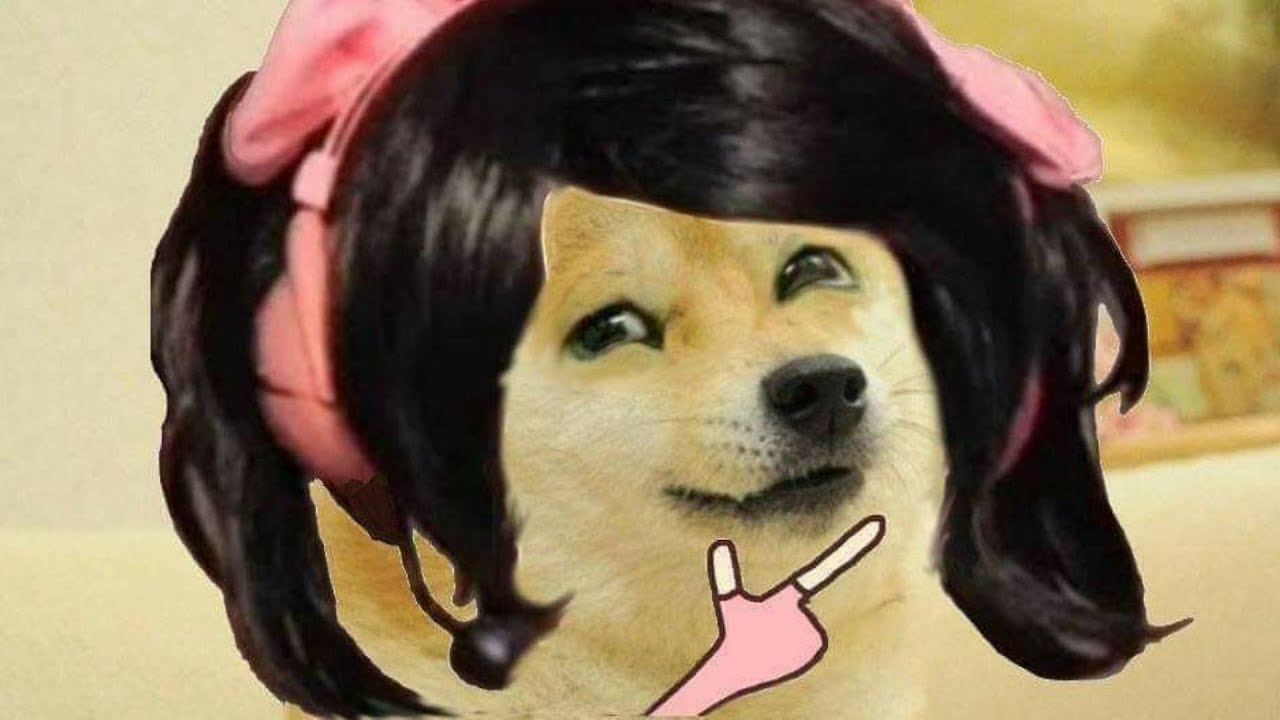 Watch video READING MY FAVOURITE HENTAI MANGA! Now READING MY FAVOURITE HENTAI MANGA!