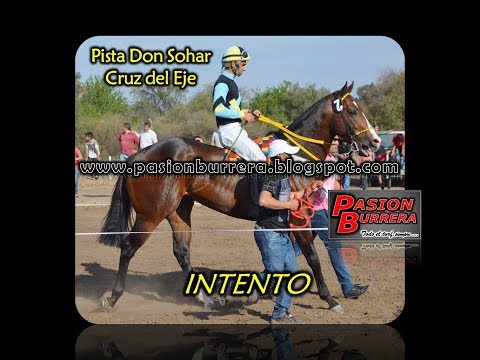 Intento, Don Sohar - Cruz del Eje (03-09-17)