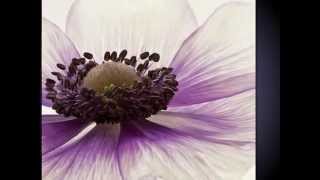 Peter White - Talkin' Bout Love