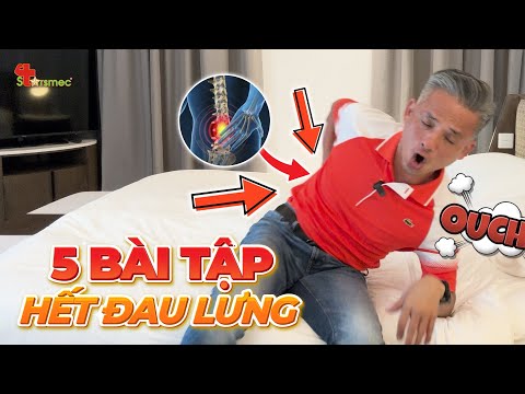 5 BàiTập Hết Đau Lưng TỐT NHẤT HIỆN NAY. Hãy Thực Hiện Hàng Ngày!