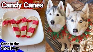 Candy Cane Cookies for Dogs | Christmas Dog Treats | DIY Dog Treats 111 |