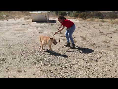 Vídeo de MOONY