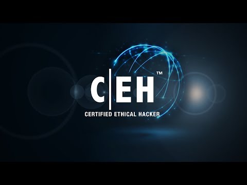 1 month certified ethical hacker course in hyderabad