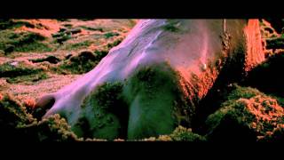 Never a Hero - Trippin on Speed Official Trailer