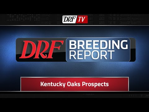 DRF Breeding Report - Kentucky Oaks Prospects - Midnight Bisou and Monomoy Girl