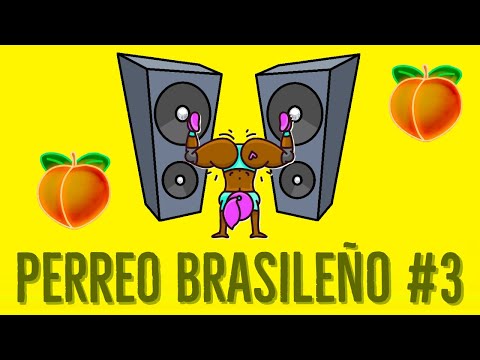 MIX PERREO BRASILEÑO #3 - DJ DEIVID