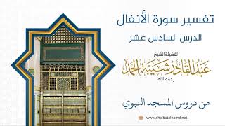 صورة تفسير سورة الأنفال (16) تفسير الآيات 48 – 49 | الشيخ عبد القادر شيبة الحمد