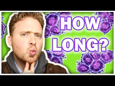 Stem Cell Fasting - HOW LONG To FAST For STEM CELLS?