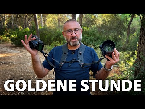 Goldene Stunde im Wald fotografieren (mit Verlosung)