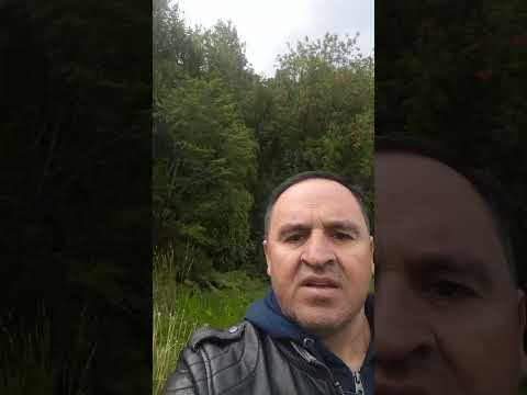 Puerto cisnes patagonia chilena #soydecarahue #patagoniachilena #carreteraaustral #coyhaique #aysén