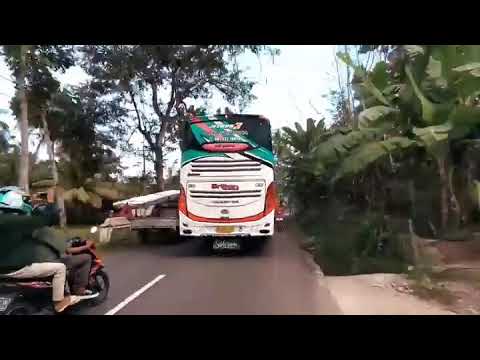 Story'wa Bus Random Selatanese