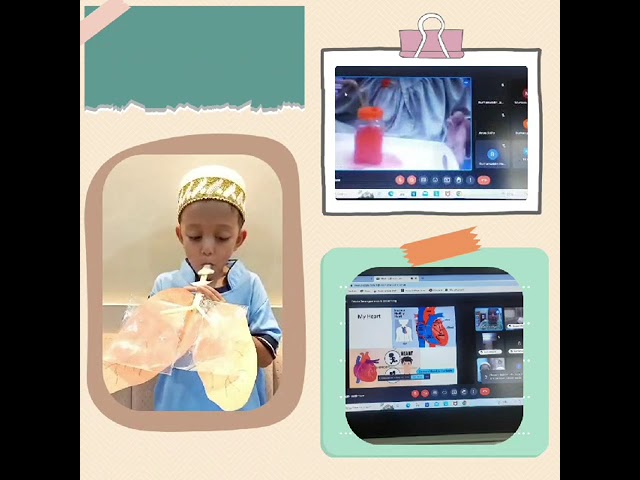 MSB - Virtual Online Classes